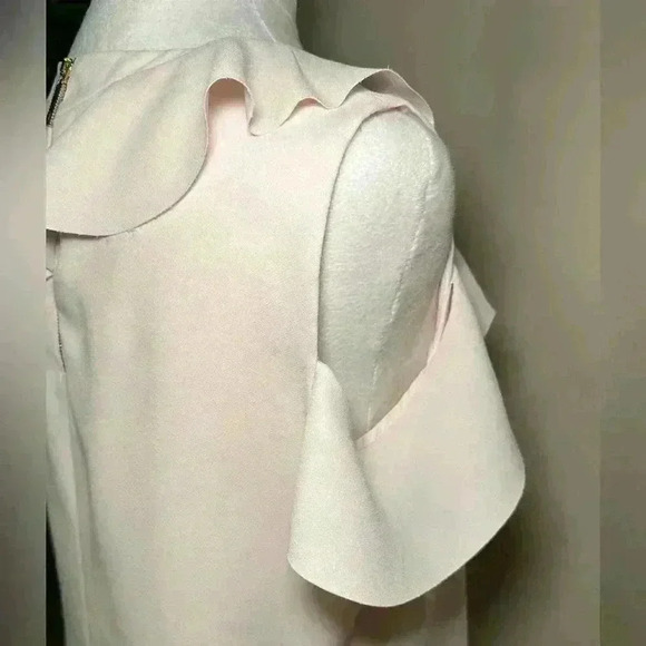 Ted Baker Honourr Asymmetrical Frill Top Nude Pink - Size 2 - Small/Medium - Picture 8 of 11